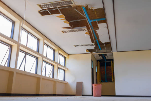 Best Flooded house restoration  in South River, NJ