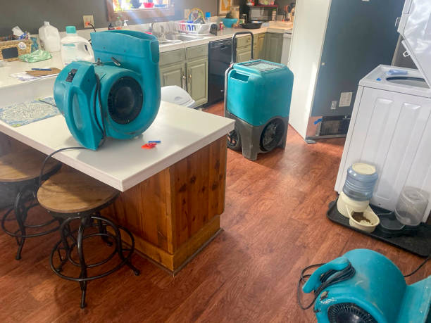 Best Flood damage cleanup  in South River, NJ