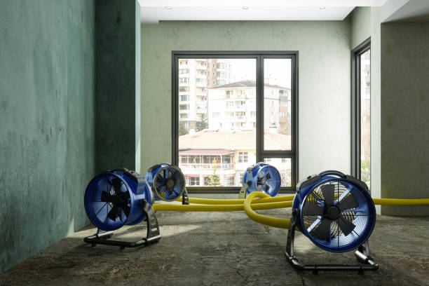 Best 24/7 water damage repair  in South River, NJ